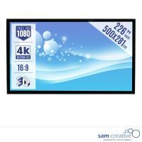 Projektorskærm biograf 4K|Ultra HD 226” 500x281 cm