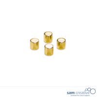 Cylinder magneter guld, sæt med 4 styk