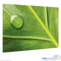 Glastavle Ambience serie jungle leaf 50x50 cm