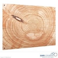 Glastavle Ambience serie wooden log 50x50 cm